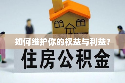望城如何维护你的权益与利益？