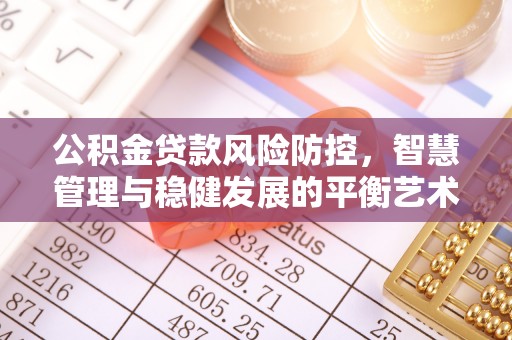望城公积金贷款风险防控，智慧管理与稳健发展的平衡艺术