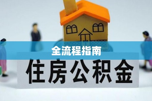 望城全流程指南