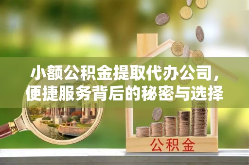 望城小额公积金提取代办公司，便捷服务背后的秘密与选择指南
