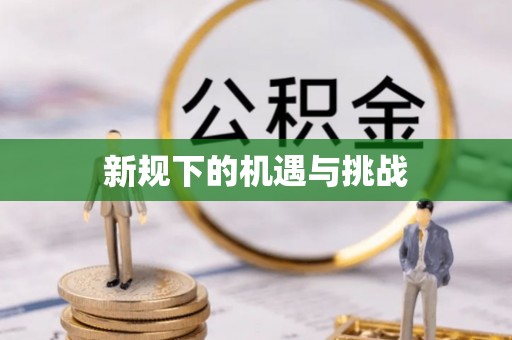 望城新规下的机遇与挑战