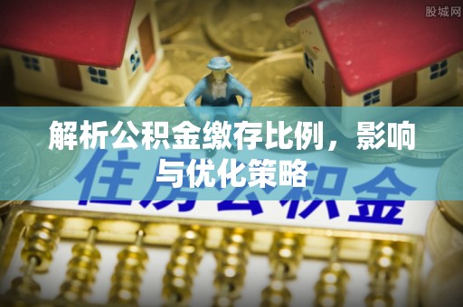 望城解析公积金缴存比例，影响与优化策略