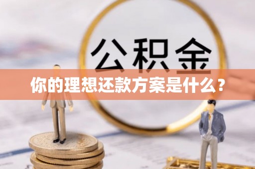 望城你的理想还款方案是什么？