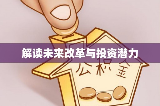 望城解读未来改革与投资潜力