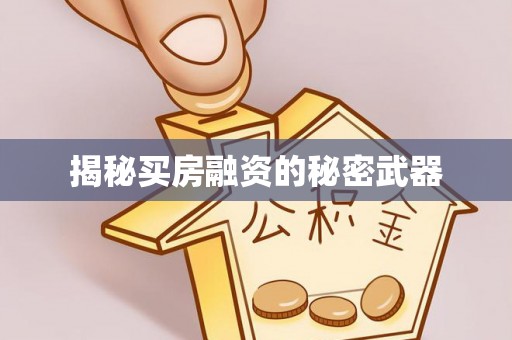 望城揭秘买房融资的秘密武器