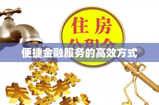 望城便捷金融服务的高效方式