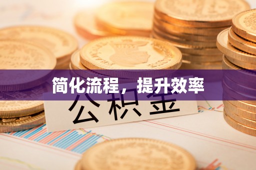 望城简化流程，提升效率