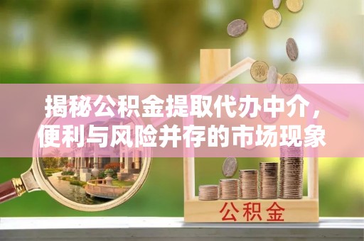 望城揭秘公积金提取代办中介，便利与风险并存的市场现象