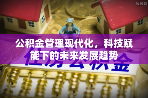 望城公积金管理现代化，科技赋能下的未来发展趋势