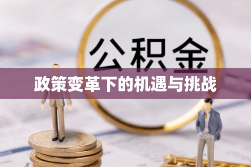望城政策变革下的机遇与挑战