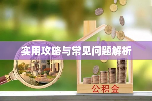 望城实用攻略与常见问题解析