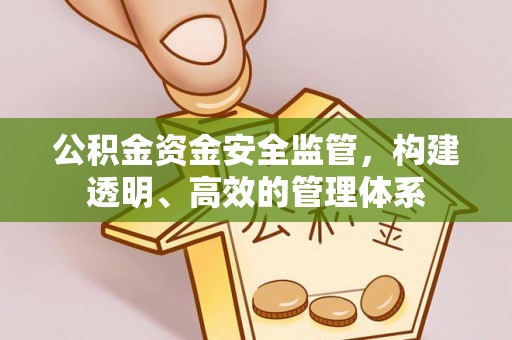 望城公积金资金安全监管，构建透明、高效的管理体系
