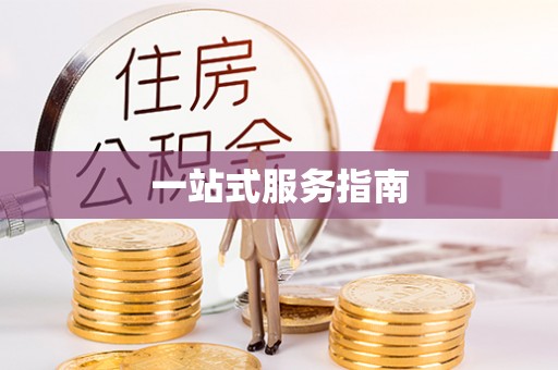 望城一站式服务指南