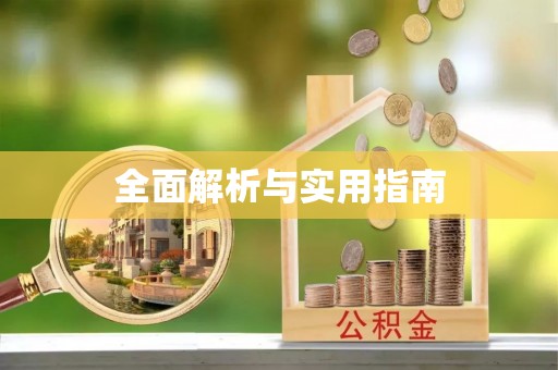望城全面解析与实用指南