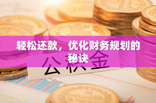 望城轻松还款，优化财务规划的秘诀