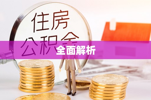 望城全面解析