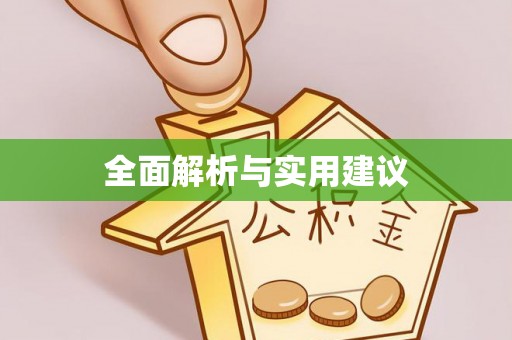 望城全面解析与实用建议