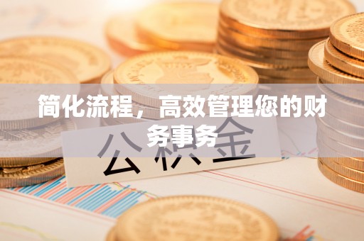 望城简化流程，高效管理您的财务事务