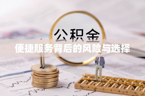 望城便捷服务背后的风险与选择