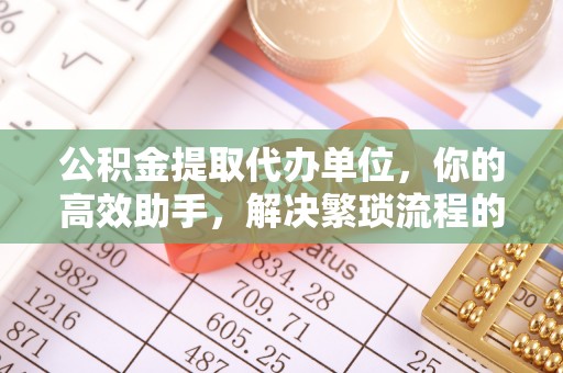 望城公积金提取代办单位，你的高效助手，解决繁琐流程的不二之选