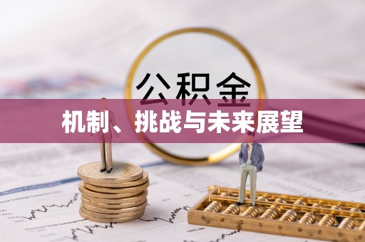 望城机制、挑战与未来展望
