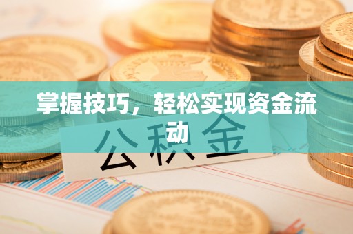 望城掌握技巧，轻松实现资金流动