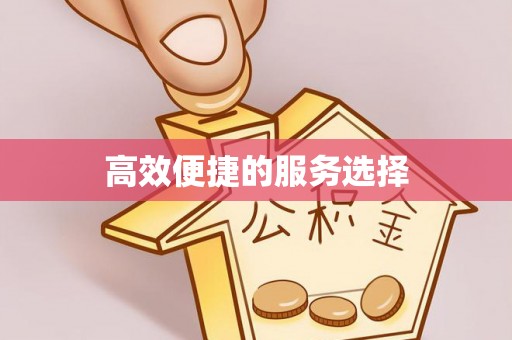 望城高效便捷的服务选择