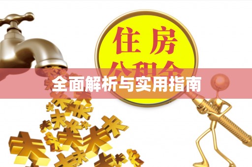 望城全面解析与实用指南